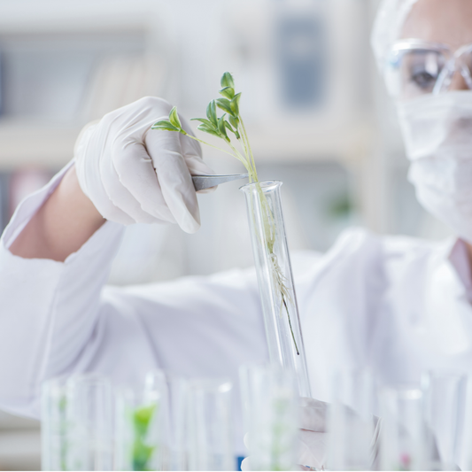 Biochemistry - Bio scientist putting a plant in a flask. Codex Beauty