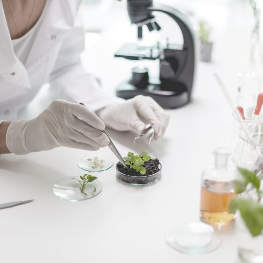 Scientist with plant in lab for clean skin care products