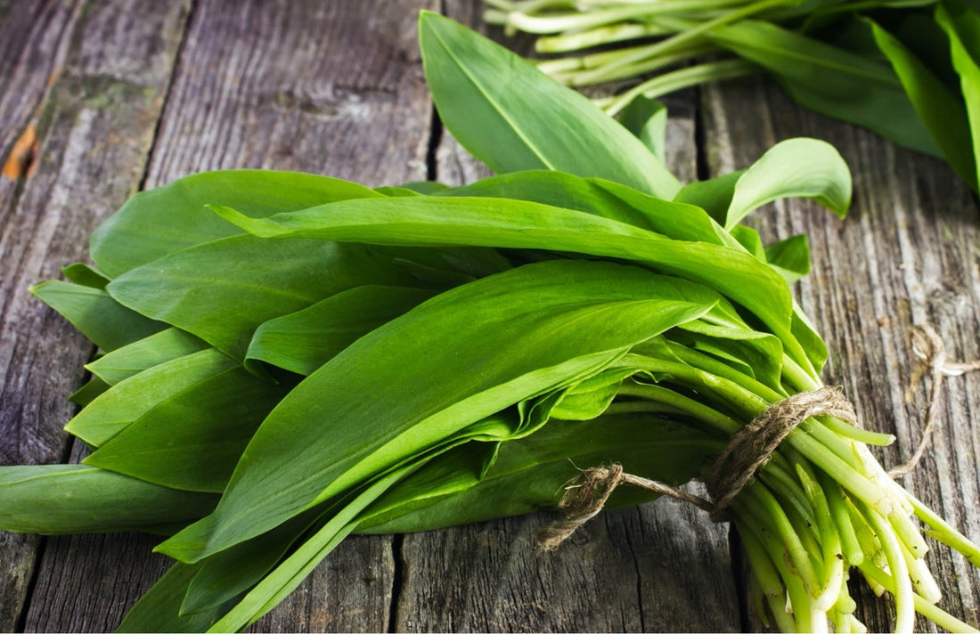 ORGANIC SOURCING